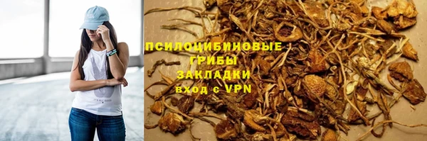 молекула духа Алексин