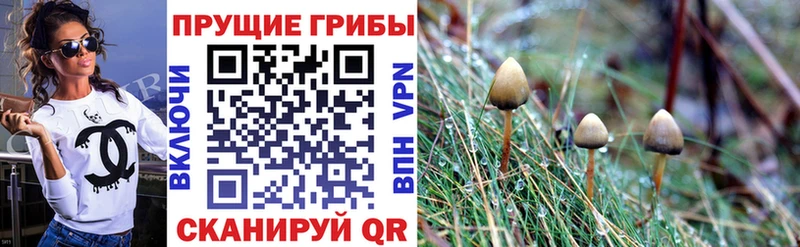 Галлюциногенные грибы MAGIC MUSHROOMS omg ONION Ессентукская